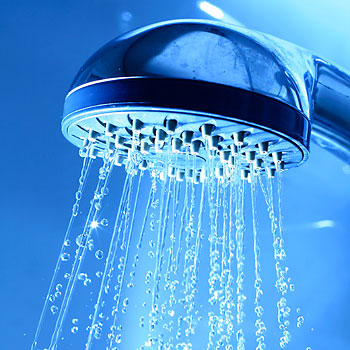 Best Low Flow Shower Head