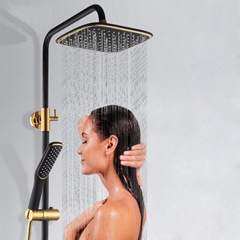 Dual Shower Head Reviews