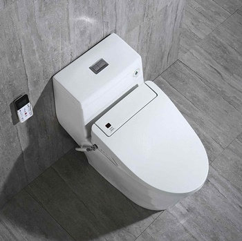 Toilet Seat Buying Guide