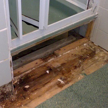 How to Fix a Leaking Shower Without Removing Tiles