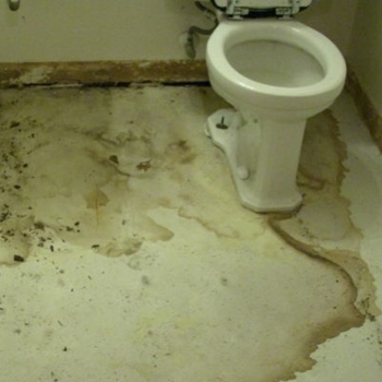 Prevent the Damage From Spreading